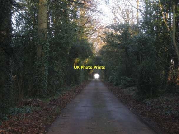 Photo 6"x4" The roadway from Coleby Hall Coleby\/SK9760 c2012