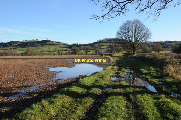 Photo 6"x4" Headland track and footpath Marlas\/SO4429 c2012