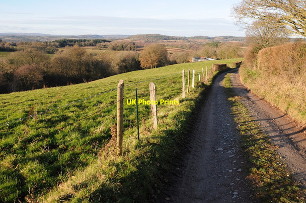 Photo 6"x4" The Herefordshire Trail near Grafton Oak Marlas\/SO4429 c2012
