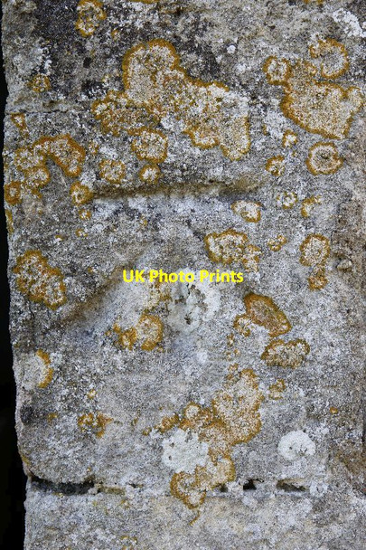 Photo 6"x4" St Nicholas Benchmark Britwell Salome c2012