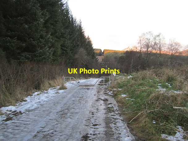 Photo 6"x4" A logging road Callander c2012