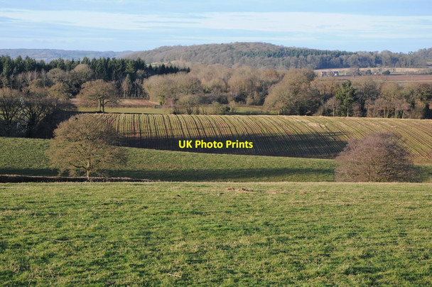 Photo 6"x4" Rolling Herefordshire countryside Marlas\/SO4429 c2012