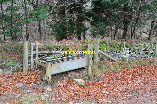 Photo 6"x4" Cattle trough near Faldonside Boleside c2012