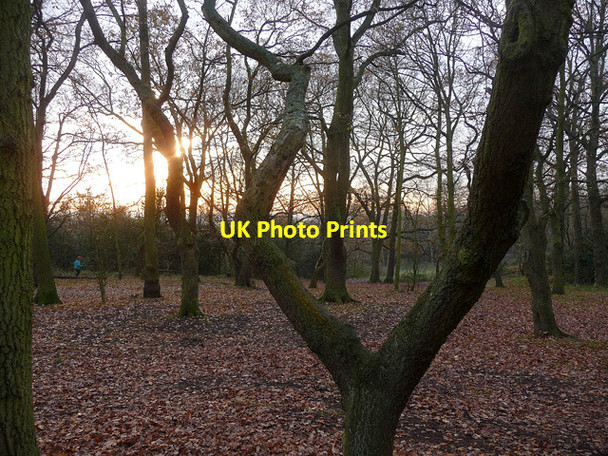 Photo 6"x4" Wintry Streatham Common (2) Streatham c2012