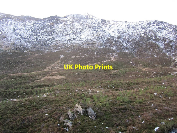 Photo 6"x4" Scots pine wood, Stank Glen Ardchullarie More c2012