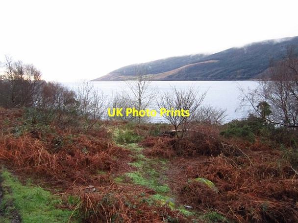 Photo 6"x4" Shore of Loch Striven Inverchaolain c2012