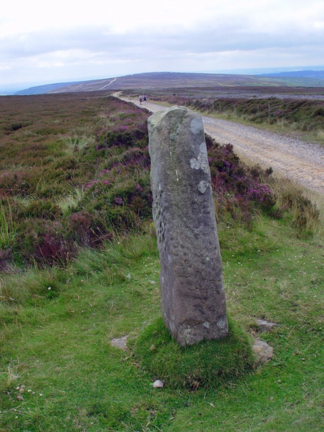 Photo 6"x4" A standing stone above Farndale Cockayne c2008