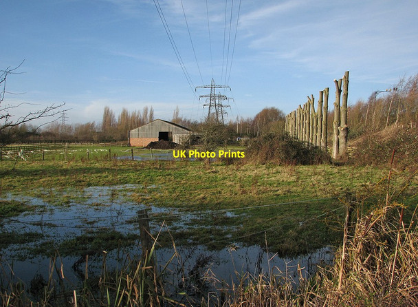 Photo 6"x4" Flooded fields, pylons and lopped trees by the A14 Fen Ditton c2012