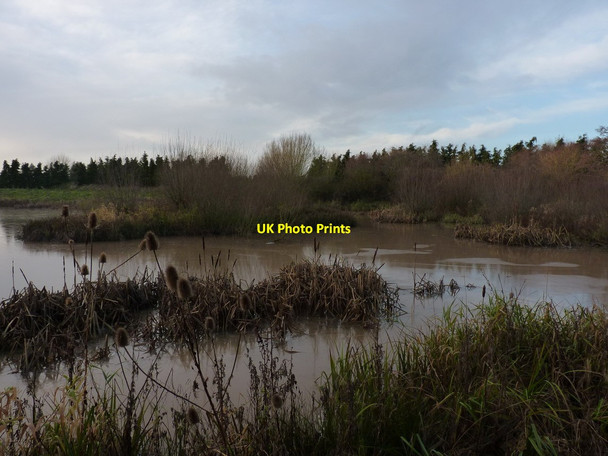 Photo 6"x4" Murky pools near Kynnersley Drive Kynnersley c2012