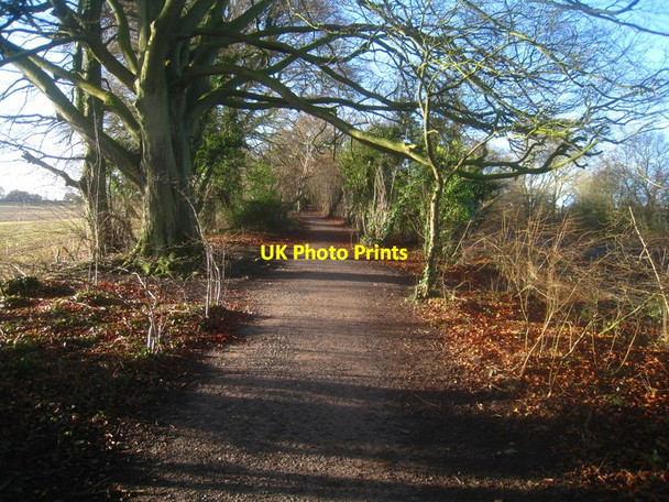 Photo 6"x4" Cycleway by the railway line East Oakley c2012