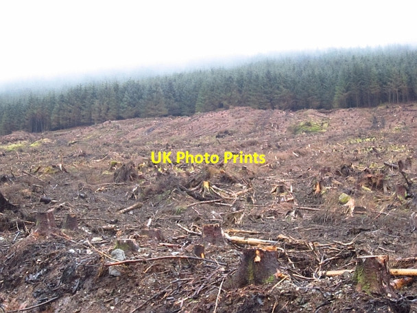 Photo 6"x4" Invervegain Glen Clachaig\/NS1181 c2012