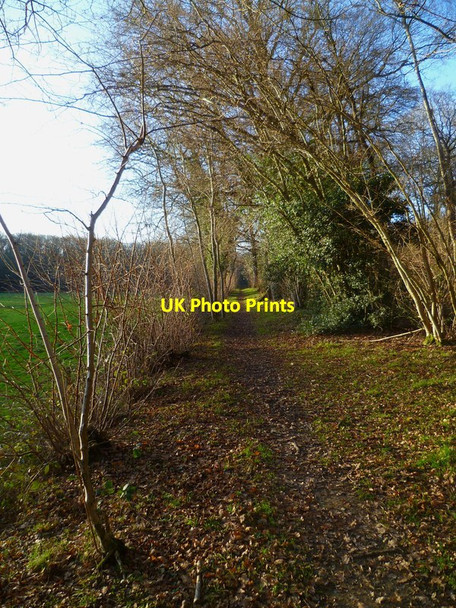 Photo 6"x4" Bridleway south of Canterbury Rew to the west of Dunsfold church Dunsfold Green c2012