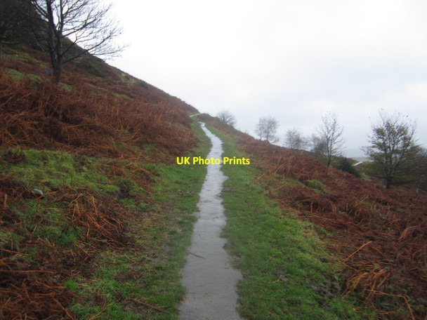 Photo 6"x4" Footpath on Hoad Hill Ulverston c2012