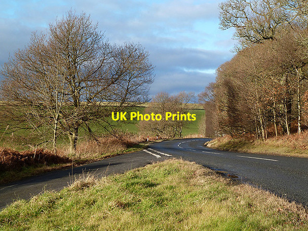 Photo 6"x4" The A6112 at Aikyside Wood Abbey St Bathans c2012