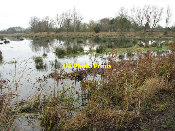 Photo 6"x4" Geldeston Marshes Dockeney c2012