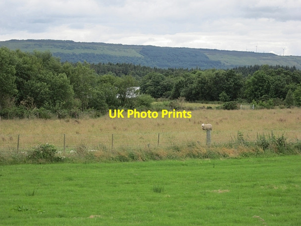 Photo 6"x4" Fields beside Lower Lough Erne Belleek c2012