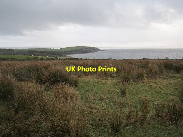 Photo 6"x4" Field, Corra Ardlamont Bay c2012