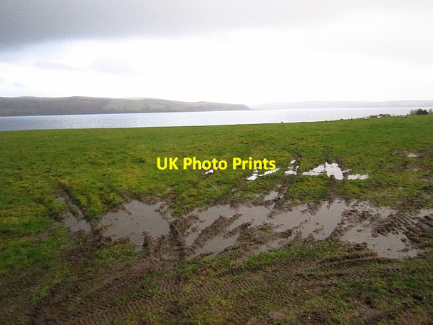 Photo 6"x4" A wet field, Ardlamont Blindman's Bay c2012