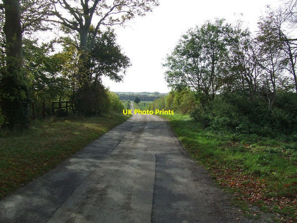 Photo 6"x4" Country Road Burrough End c2012