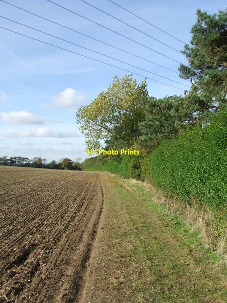 Photo 6"x4" Footpath And Field Boundary Weston Colville c2012