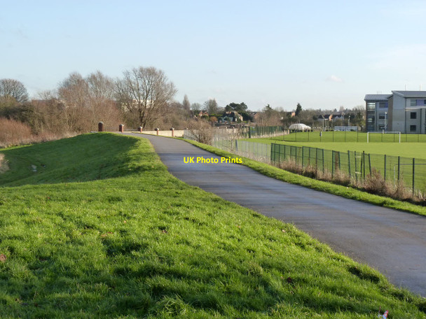 Photo 6"x4" Trentside embankment  West Bridgford c2012
