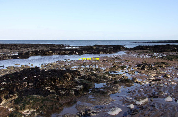 Photo 6"x4" The rocky foreshore in Botany Bay Kingsgate\/TR3970 c2012
