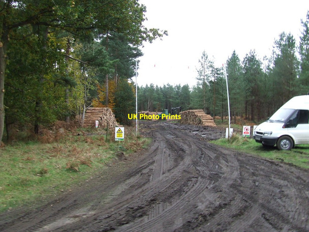 Photo 6"x4" Forestry Workings West Tofts\/TL8392 c2012