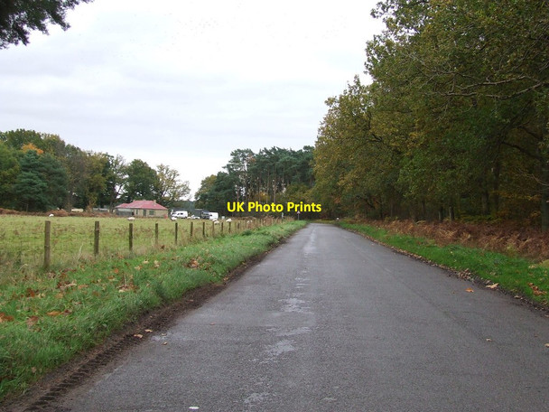 Photo 6"x4" Country Road West Tofts\/TL8392 c2012