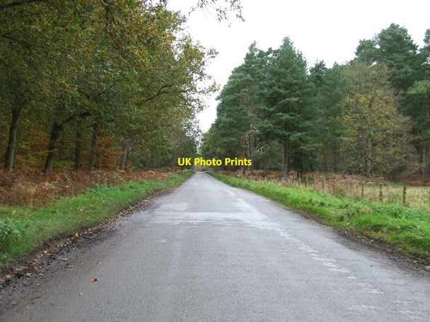 Photo 6"x4" Minor Road West Tofts\/TL8392 c2012
