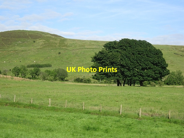 Photo 6"x4" Fields, Cartrongibbagh Mullies c2012