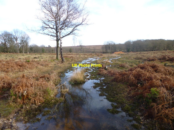 Photo 6"x4" Slufters Inclosure, brook Stoney Cross c2012
