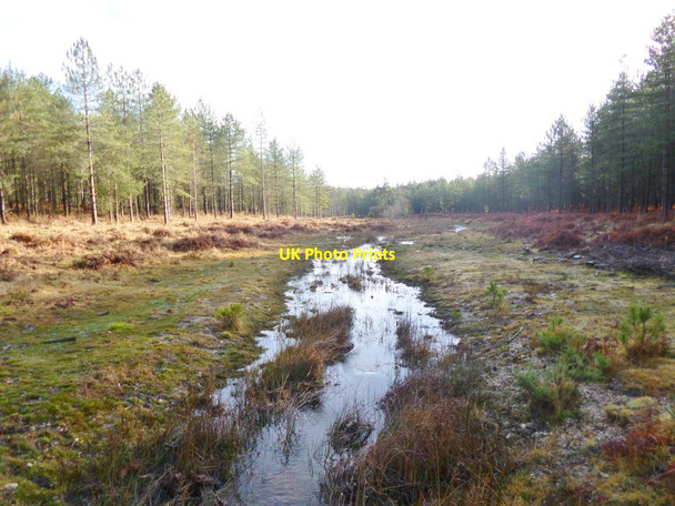 Photo 6"x4" Slufters Inclosure, brook Stoney Cross c2012