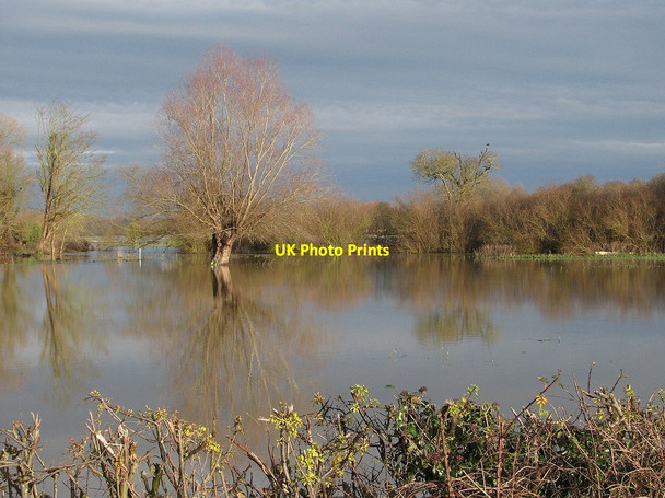 Photo 6"x4" Grantchester: reflections in a flooded field Grantchester c2012