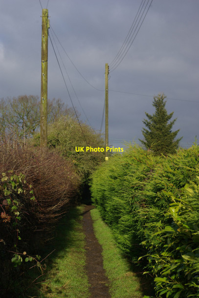 Photo 6"x4" Path to Mason Lane, Earlswood Earlswood\/SP1174 c2012