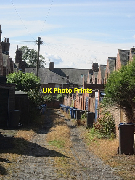 Photo 6"x4" Lane, Fenwick Grove Morpeth c2012