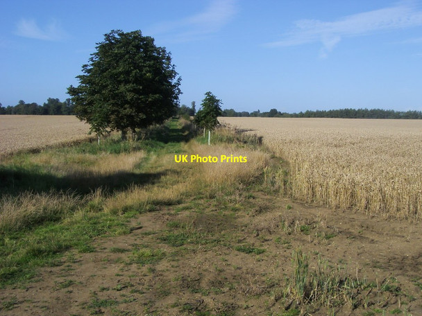 Photo 6"x4" Path to Marriage Hill Buckland\/SU3498 c2012