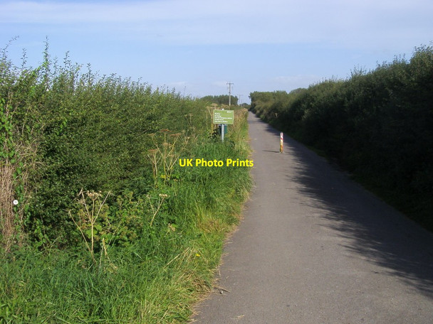 Photo 6"x4" Path and drive up to Radcot Lock Thrupp\/SU2998 c2012