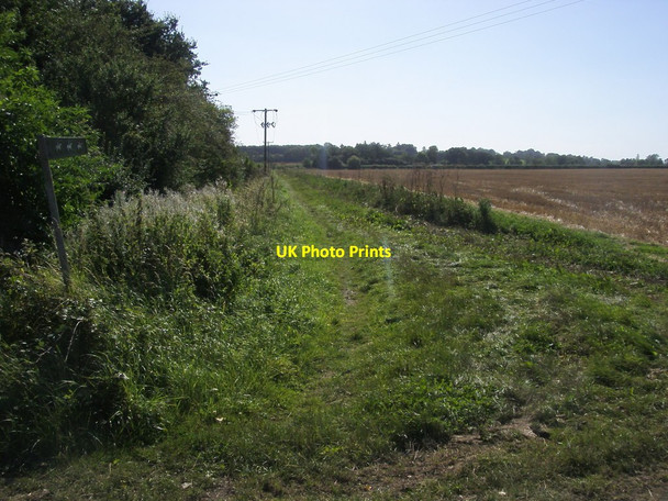 Photo 6"x4" Bridleway to Common Lane Longworth\/SU3999 c2012