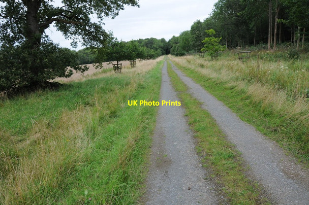 Photo 6"x4" The Herefordshire Trail Orcop Hill c2012