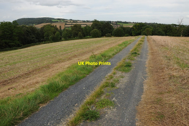 Photo 6"x4" Track on Bryngwyn Hill Orcop Hill c2012