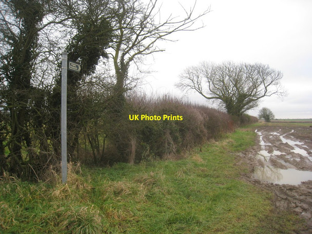 Photo 6"x4" Footpath to Holton Grange Bleasby Moor c2012