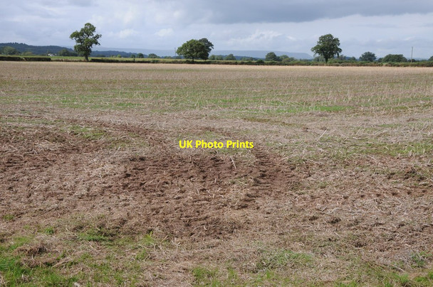 Photo 6"x4" Arable land at Allensmore Allensmore c2012