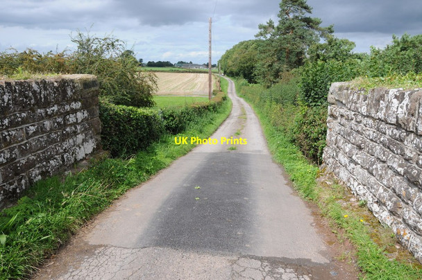 Photo 6"x4" Road to Coed More Farm, Allensmore Allensmore c2012
