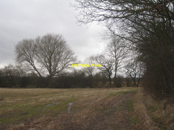 Photo 6"x4" Stubble field off Storrs Lane Owston\/SE5511 c2012