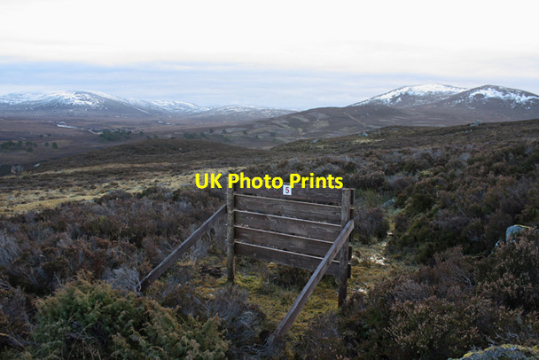 Photo 6"x4" Grouse butt no. 5 Creag Shoilleir\/NH8117 c2012