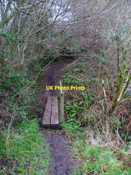 Photo 6"x4" Footbridge at Barlavington Barlavington c2012