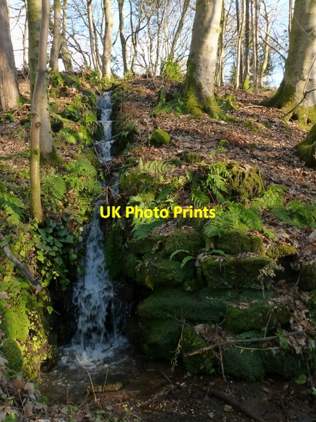 Photo 6"x4" A burn in Overtoun Estate Dumbarton c2012