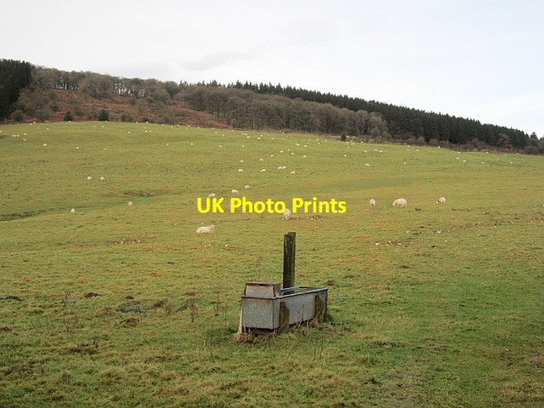Photo 6"x4" A galvanised trough Loughton\/SO6183 c2012