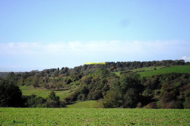 Photo 6"x4" Looking towards Tyley Bottom near Kingscote Bagpath\/ST8094 c2012