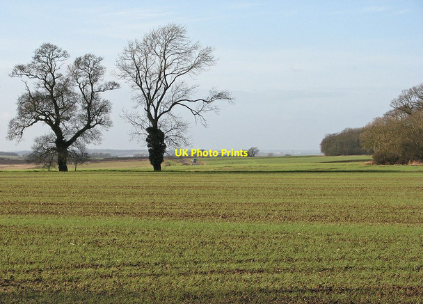 Photo 6"x4" Towards Cambridge Burrough End c2012